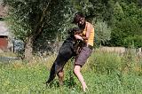ENFANT ET CHIEN 353